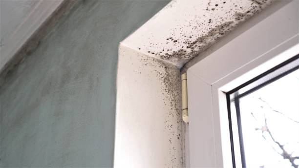 Best Mold Prevention Services  in Aberdeen, SD