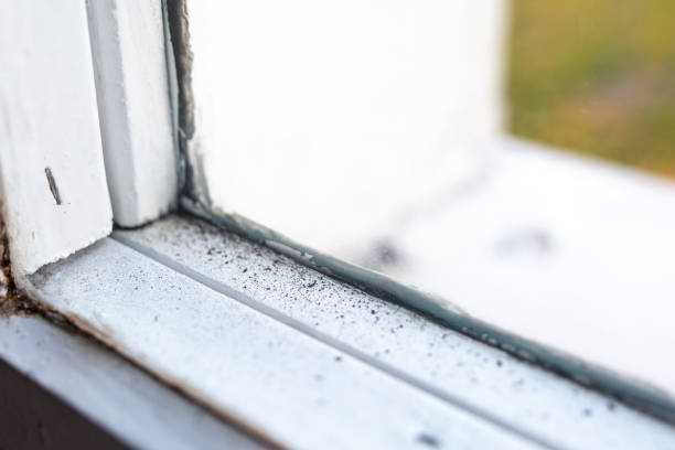 Best Air Quality Testing for Mold Spores  in Aberdeen, SD