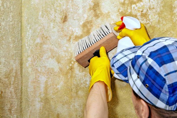 Best Post-Construction Mold Inspection  in Aberdeen, SD