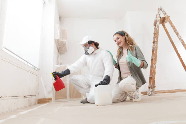 Best Basement Mold Removal  in Aberdeen, SD