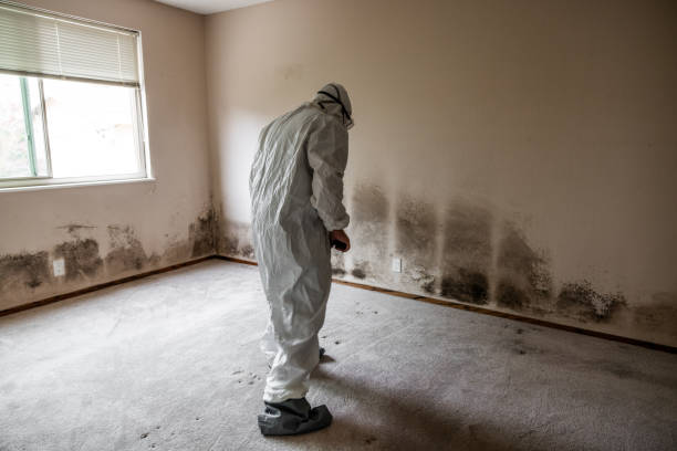 Best Mold Odor Removal Services  in Aberdeen, SD